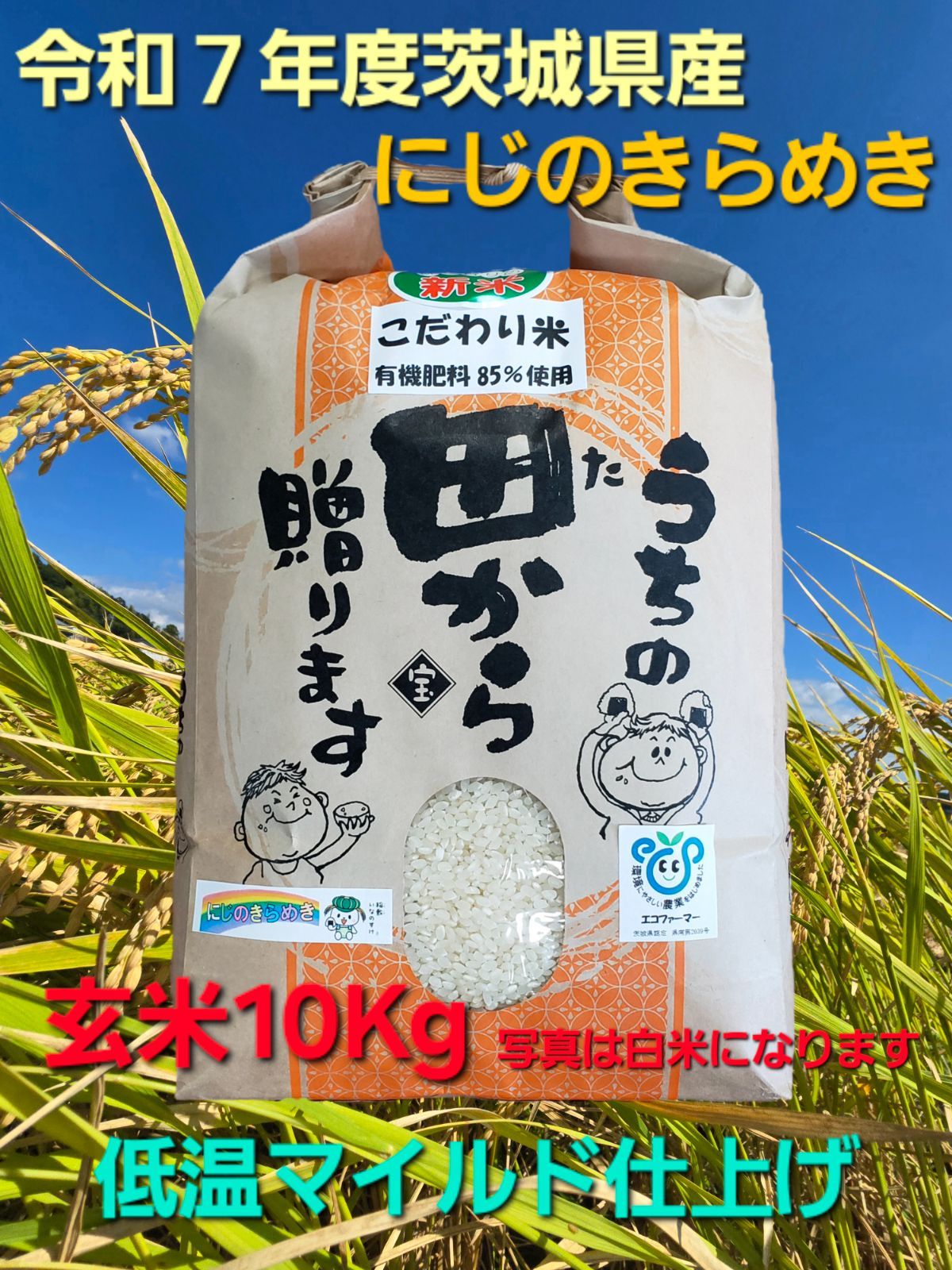 新米】令和7年産 茨城県産 にじのきらめき 玄米 10kg | 茨城 【沖縄県