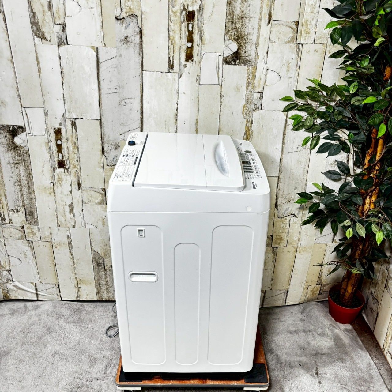 2022年製】 Hisense ハイセンス HW-E5504 洗濯機 5.5kg 【公式通販】