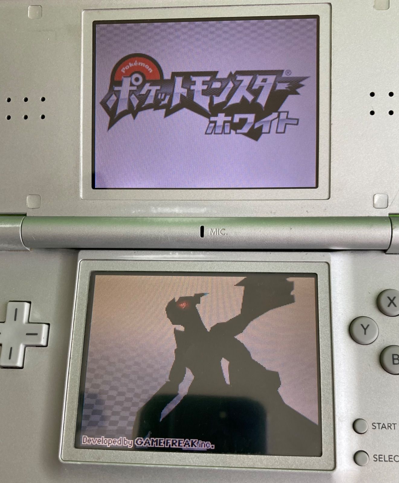 DS-LITE本体&ポケットモンスター ホワイト&ポケットモンスター