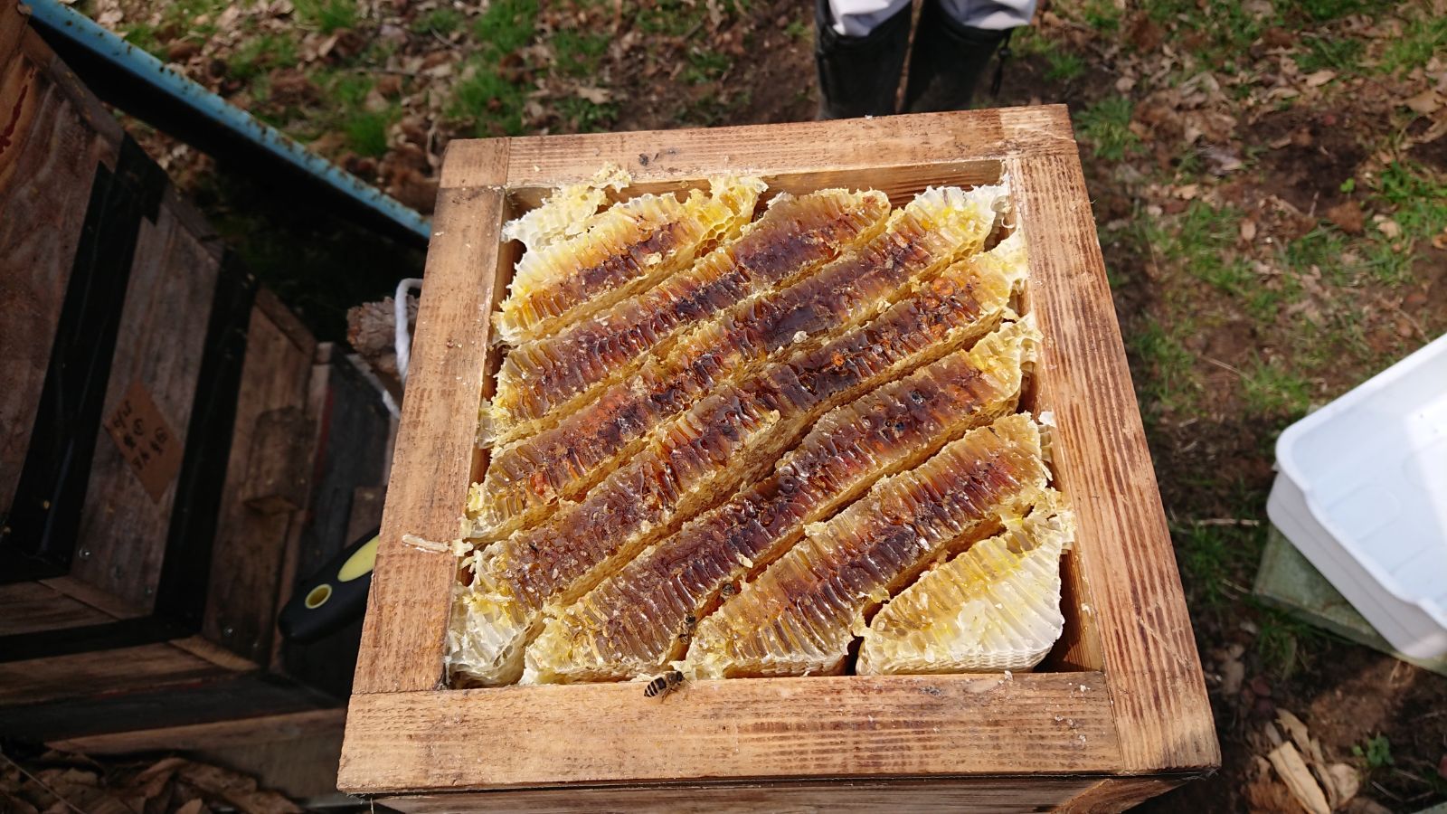 1100ｇ2本