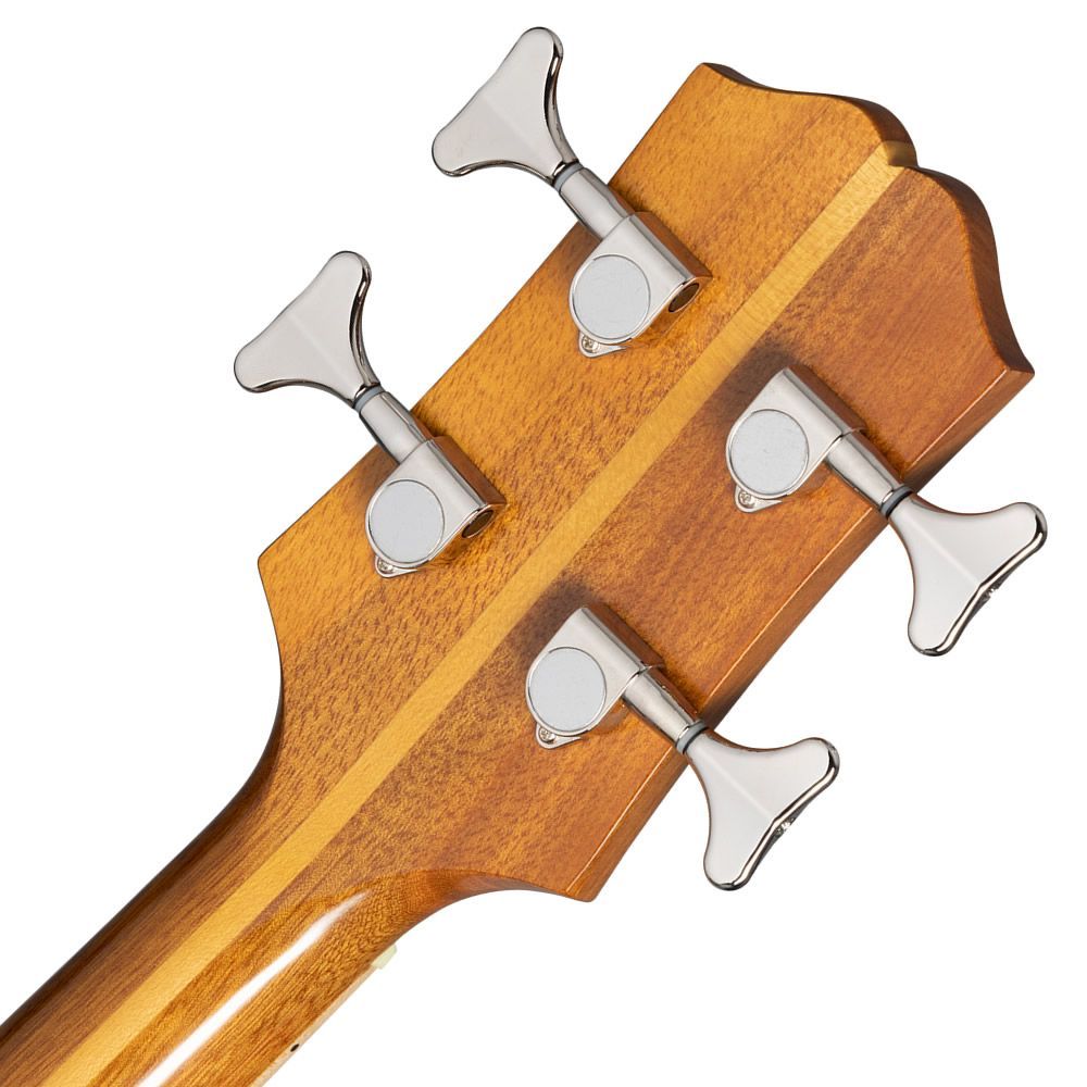 Studio Bass