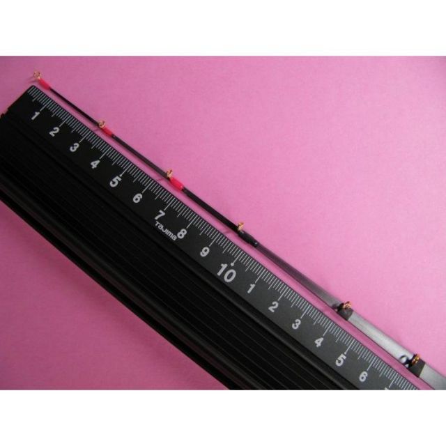 ワカサギの蔵　公魚　2020 わかさぎの蔵