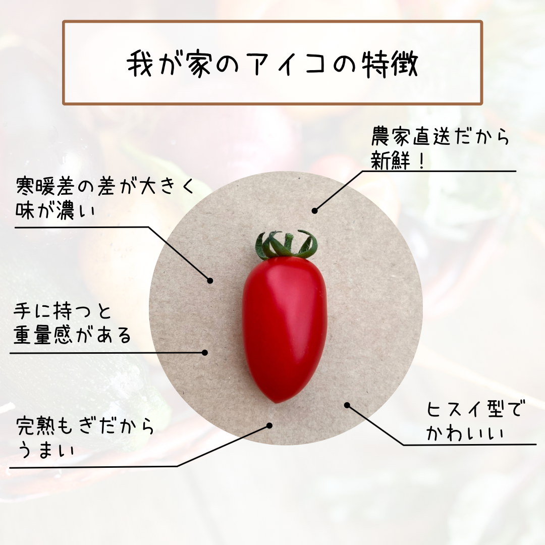 訳あり　ミニトマト　3㎏