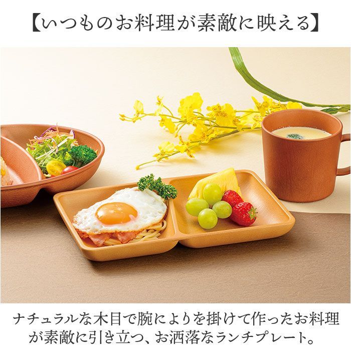 Snack master 仕切り付きプレート 14枚セット 赤 Snack master 仕切り付きプレート 14枚セット 赤
