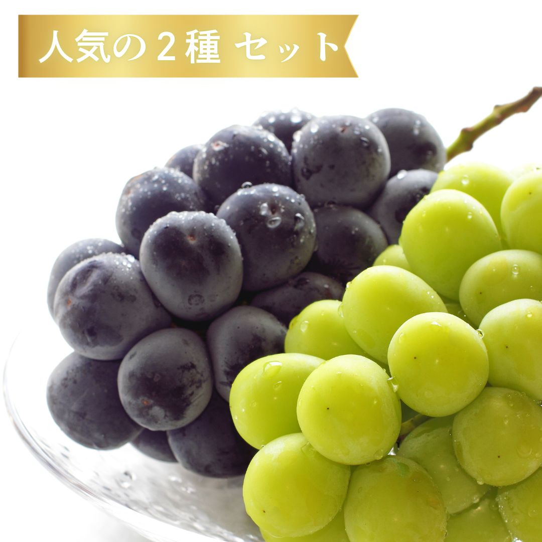 シャインピオーネ