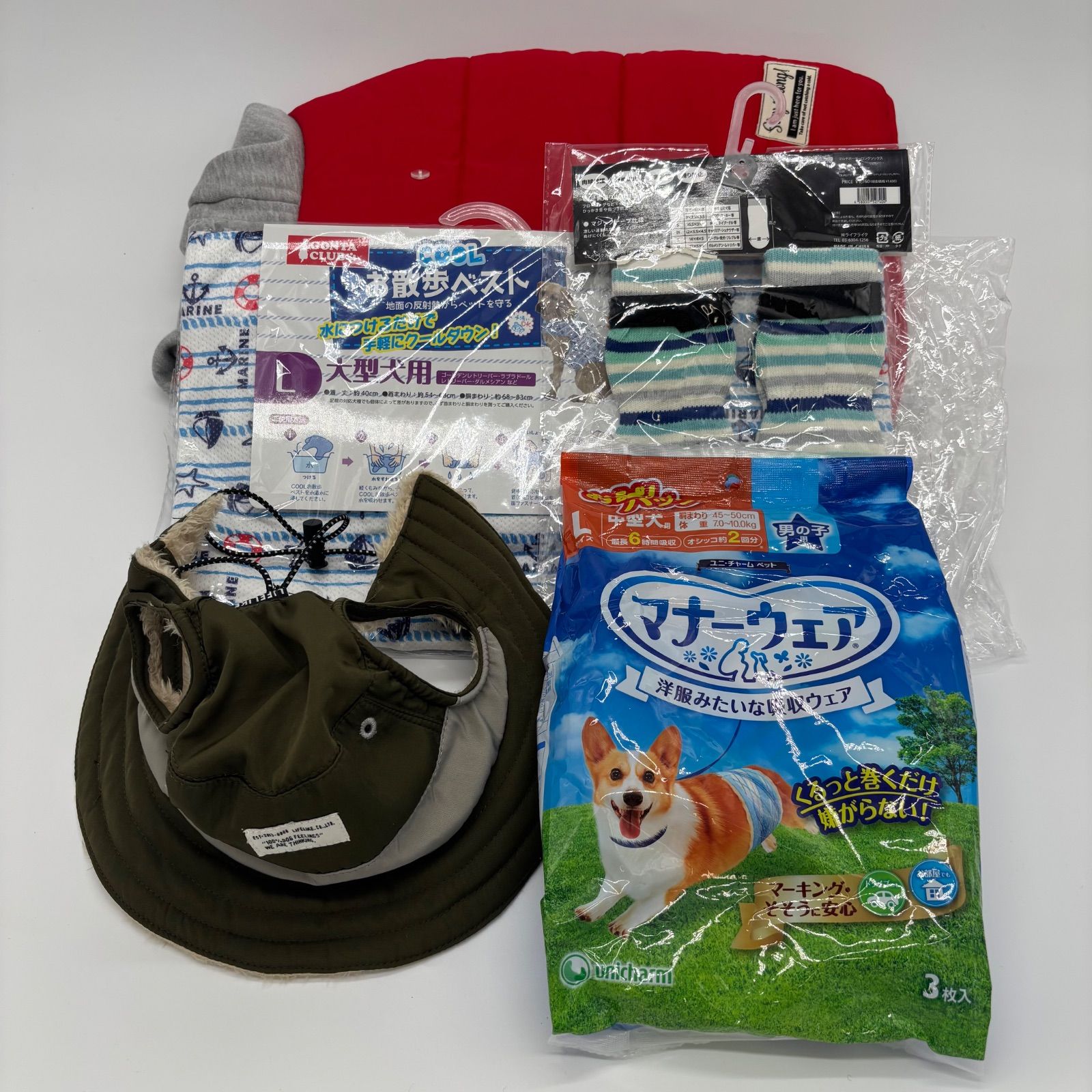 超稀少!ライブ帝国DVD5枚セット スペクトラムアナーキーARB小柴大造