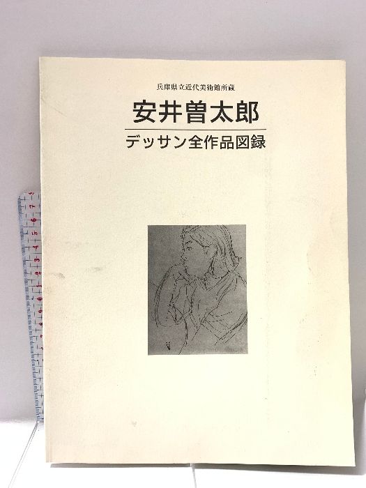 図録 兵庫県立近代美術館 安井曽太郎デッサン全作品図録 兵庫県立近代美術館 1996 - メルカリ