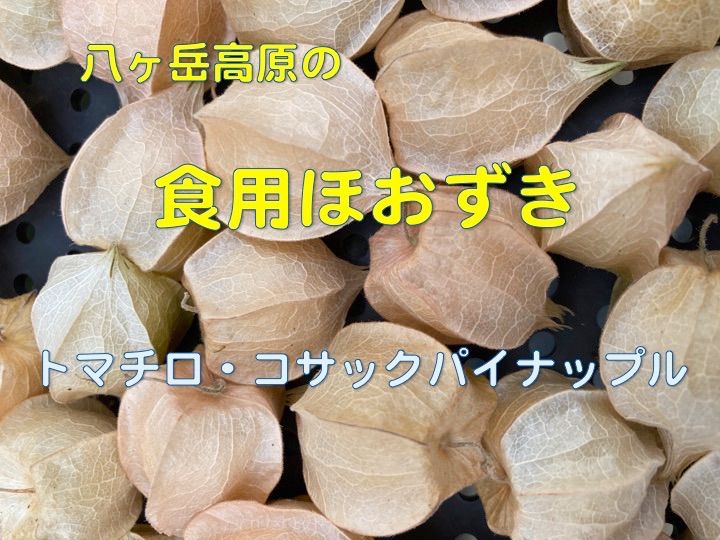 専用出品です 食用ほおずき(トマチロコサックパイナップル) 3kg-