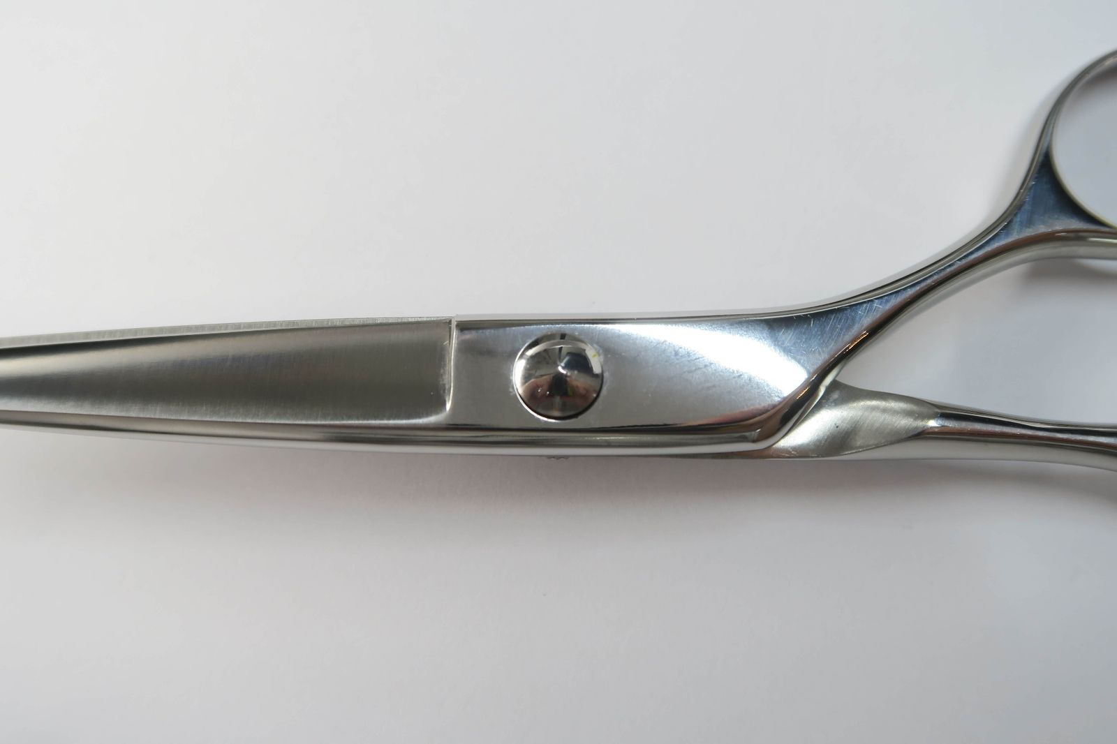 ミズタニシザー 6インチ ソリッド ミズタニシザー 6インチ ミズタニ