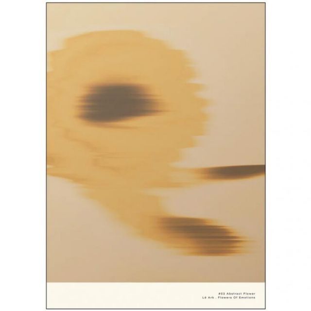 浮所飛貴】ジャンボうちわ | ファミクラストア オンライン 値下げしま