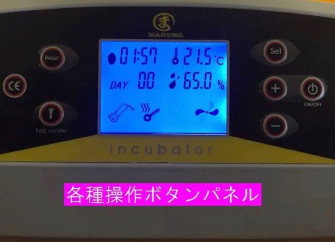 鳥類