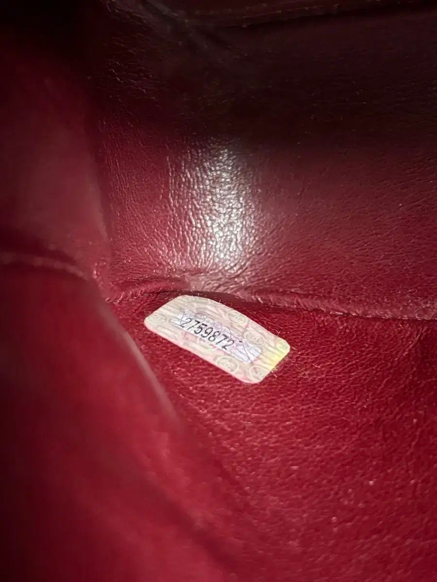 スモール スキン