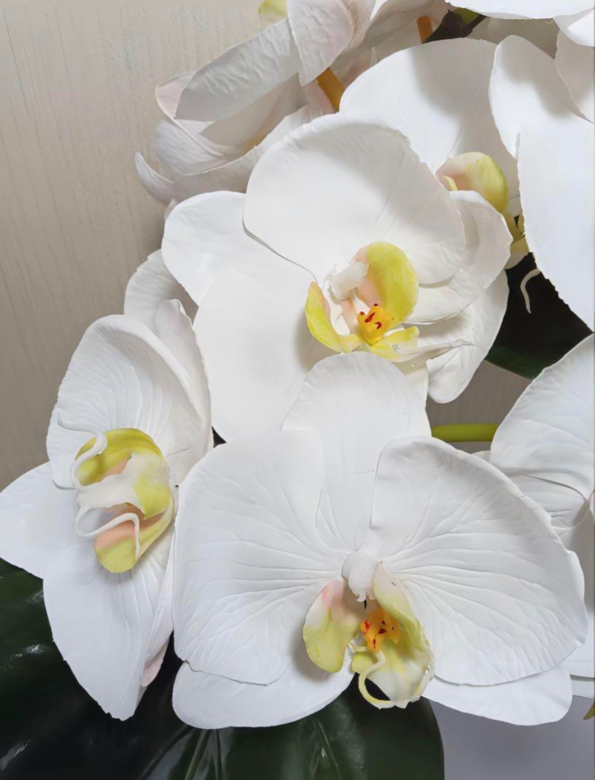 フェイクグリーン エミリオロバ