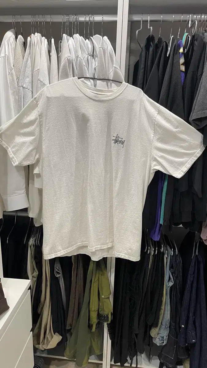 STUSSY(ステューシー) ベーシック PIGMENT(ピグメント) ダイング ナチュラル L