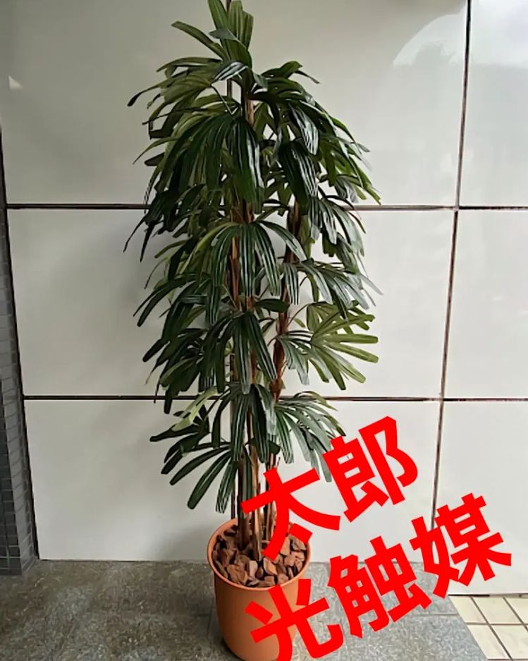 光触媒 人工観葉植物 ウォールグリーン フェイク フラワ シュロチク180 - メルカリ