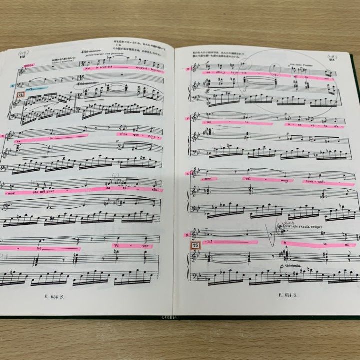 PAGLIACCI Ruggero Leoncavallo 新品 ○01)【同梱不可】Ruggero Leoncavallo/PAGLIACCI/CASA MUSICAL