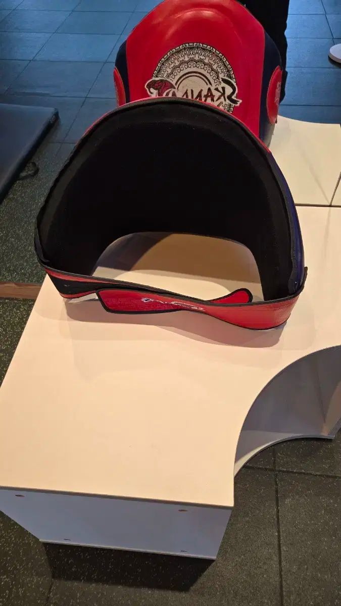 4団体防衛 井上尚弥 ミズノ マウスカバー TEAM INOUE 後援会 マスク