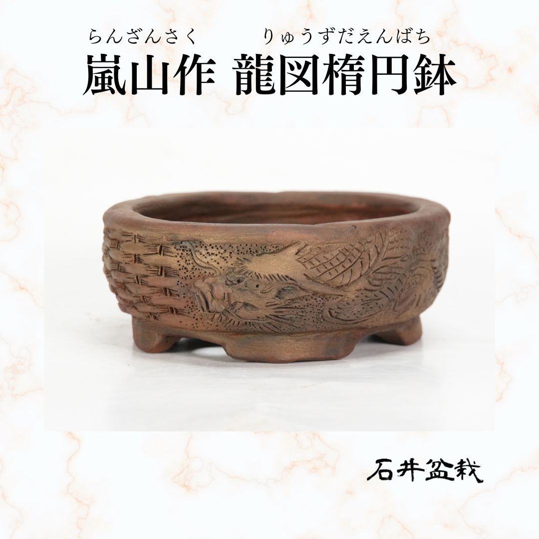 rawlifefactory 鉢 初期角鷹 botanize 決して“格下の器”ではない植木鉢