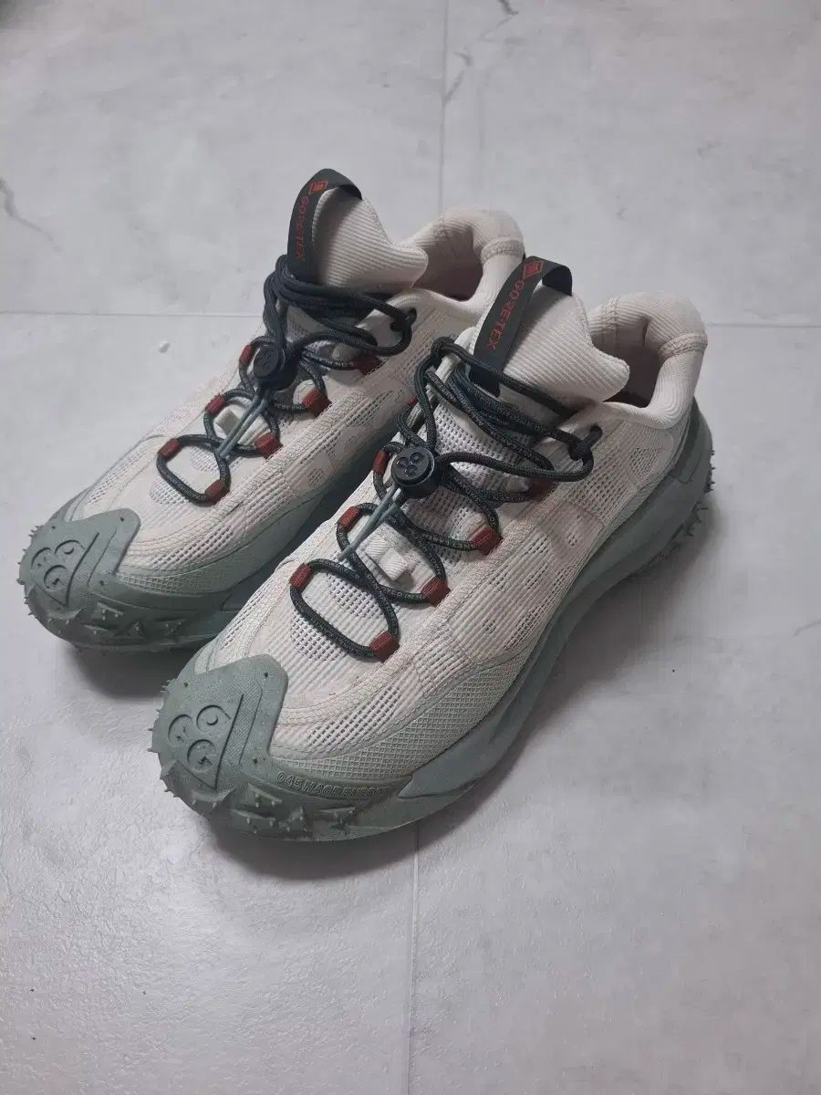 NIKE ナイキ マウンテン フライ 登山靴 260