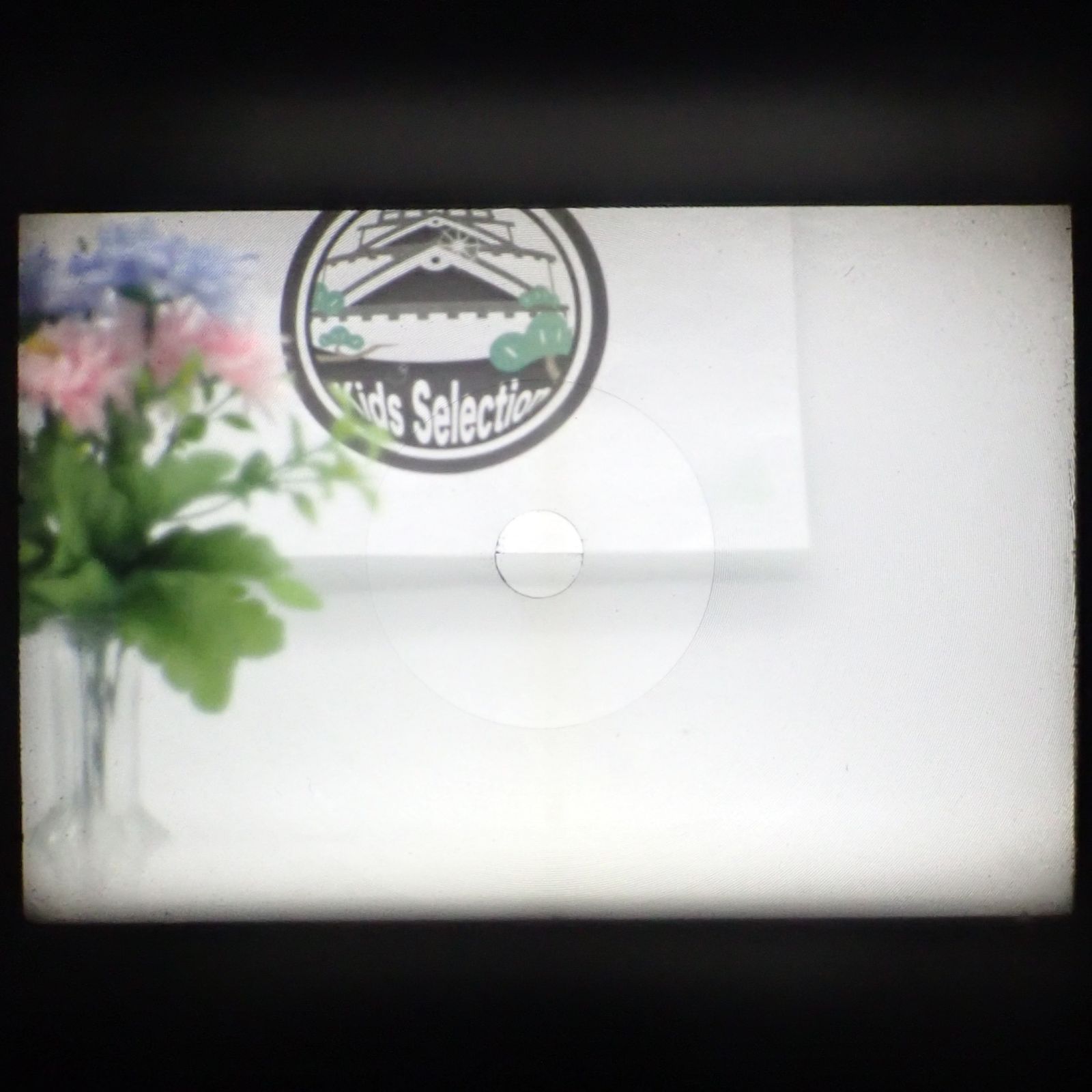 一眼レフフィルムカメラ