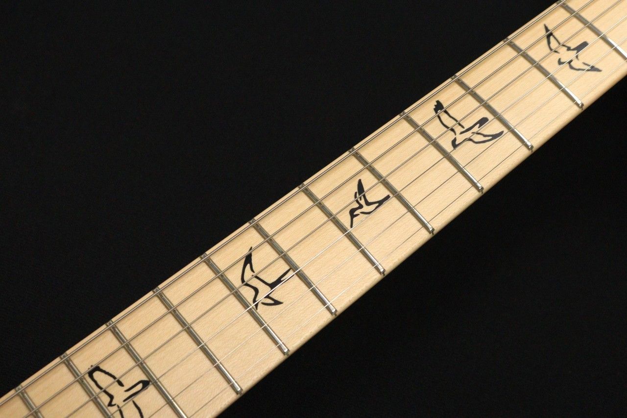SWAMP ASH
