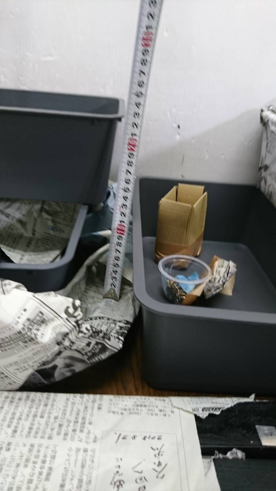 ゾウリムシ飼育繁殖 ケースセット