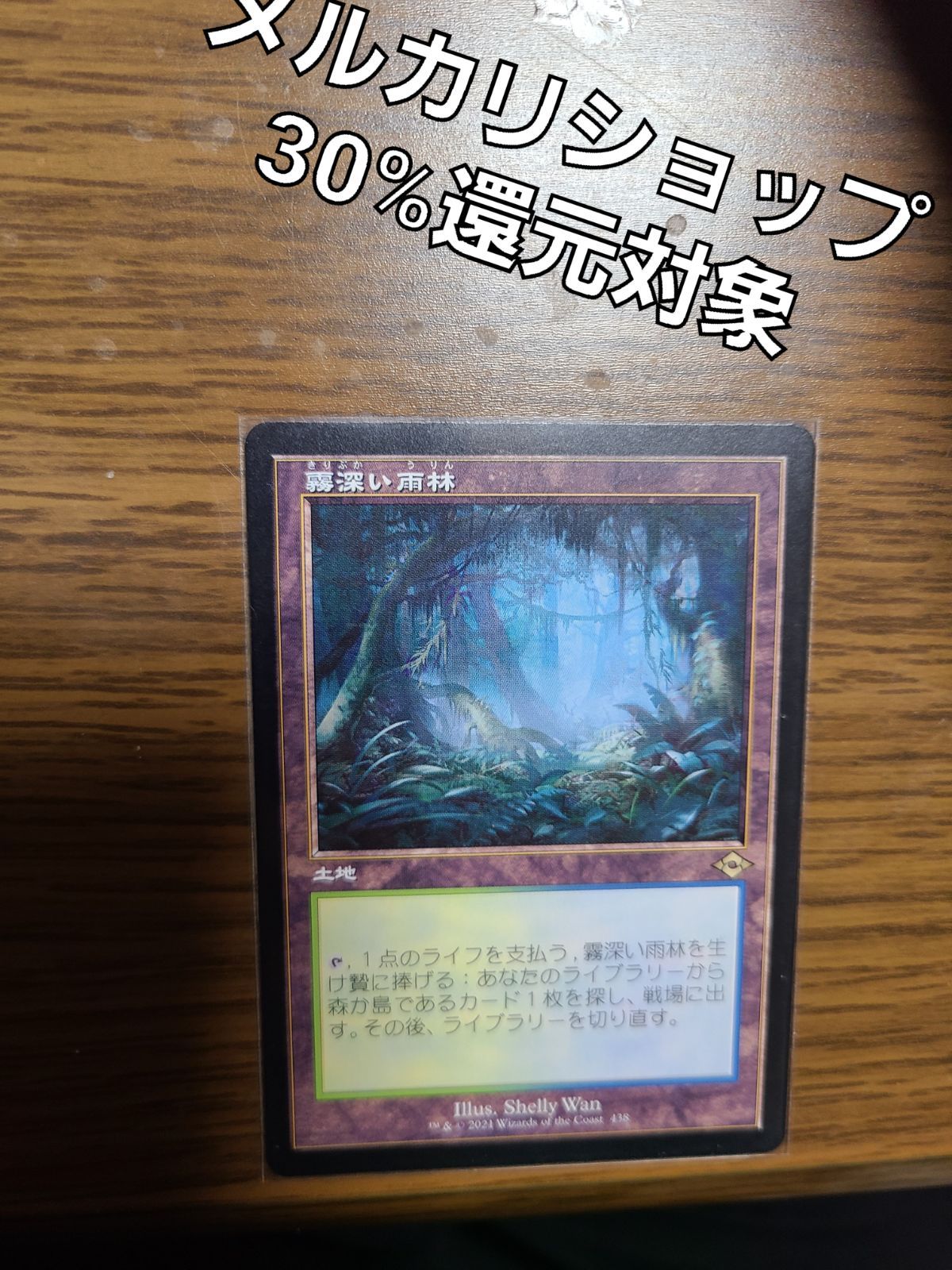 MTG 霧深い雨林 旧枠 モダンホライゾン2 マジックザギャザリング 