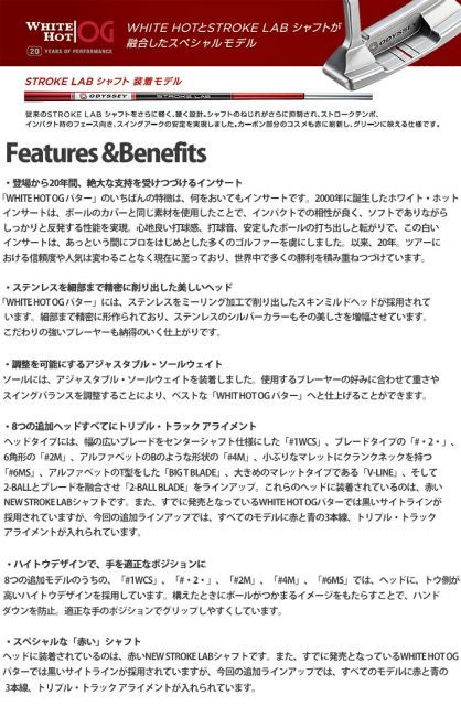 種類2：#1W CS/34インチ 2021年モデル日本正規品20％OFF！オデッセイ