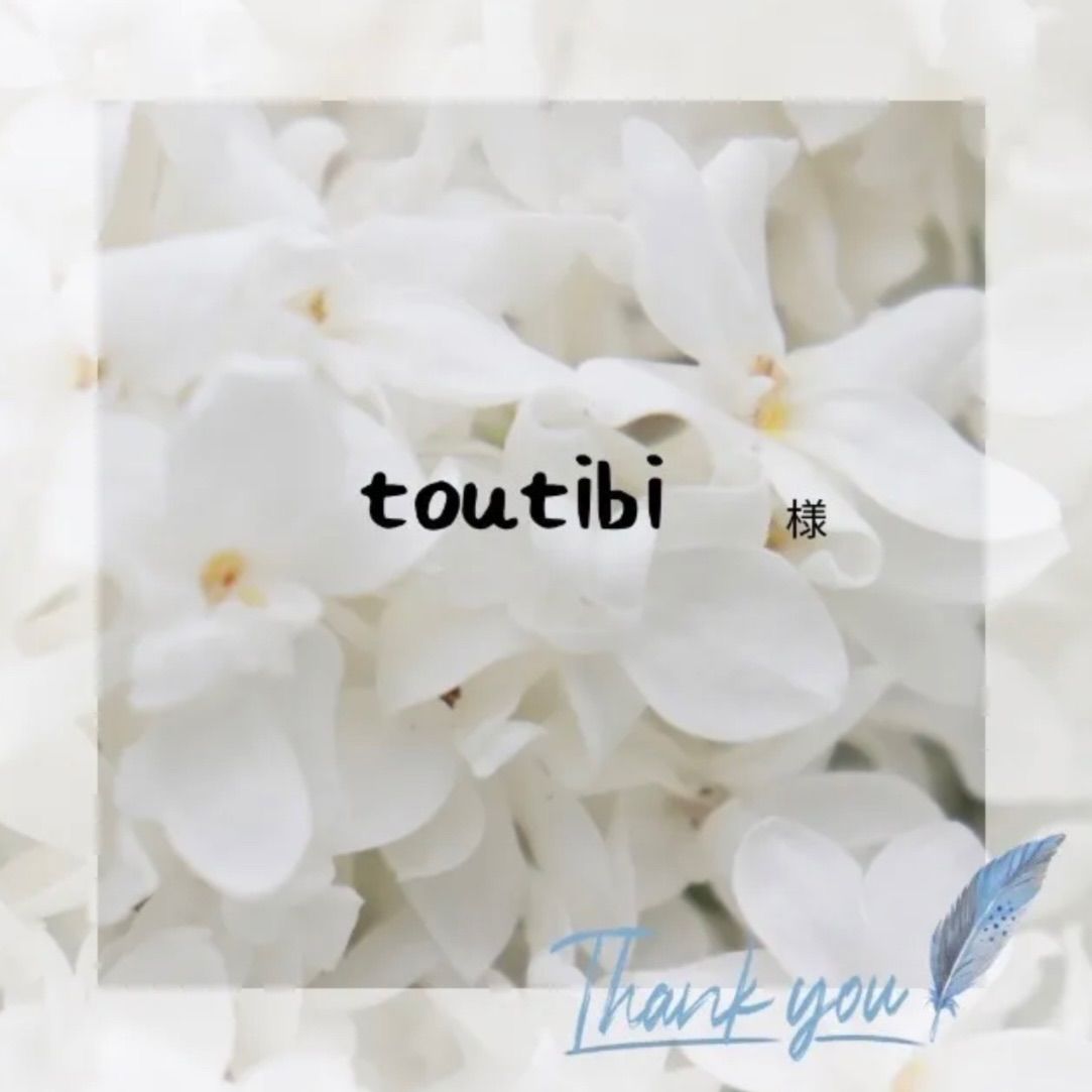 ⭐︎tou.tibi様専用⭐︎ - メルカリ