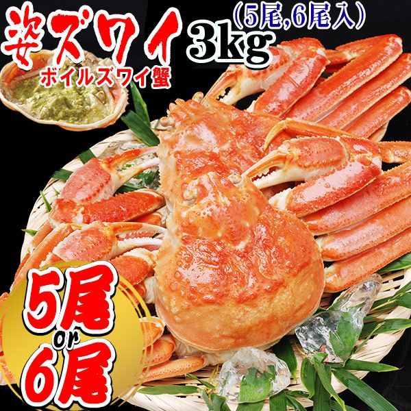 送料無料 ズワイ カニ 蟹 ずわい ボイル ズワイガニ 姿 (カナダ産) 3kg(5尾か6尾入)大小不揃い 鍋セット 材料 鍋