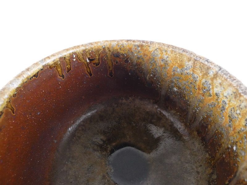 約8cm