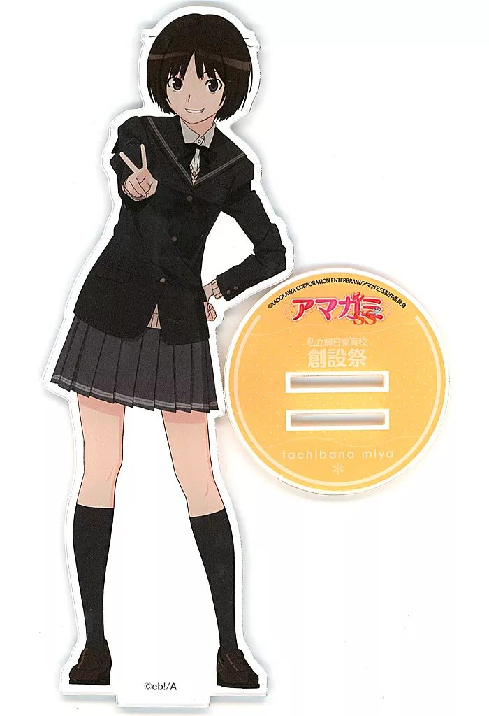 アマガミ　アマガミSS　BIGアクリルポップ+ビックアクリルポップ全14種セット アマガミSSシリーズ 創設祭BIGアクリルポップ（全7種