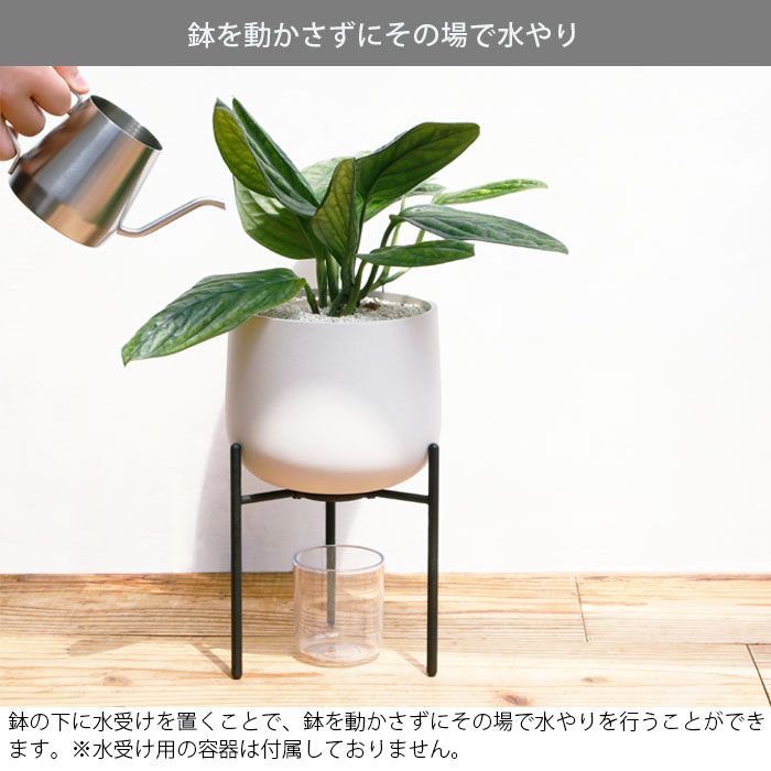 グレー 鉢