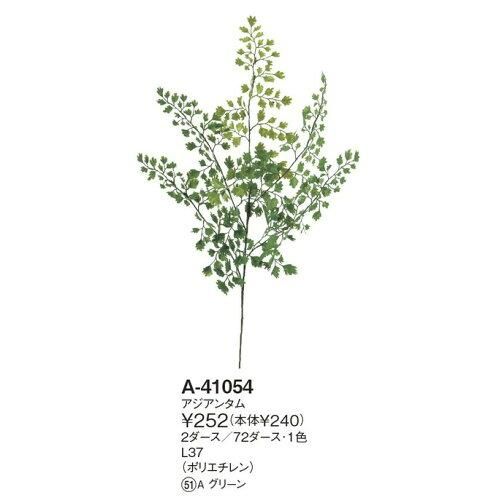 3営業日で発送 アジアンタム 価格変更 A-41054-51A 入数 24