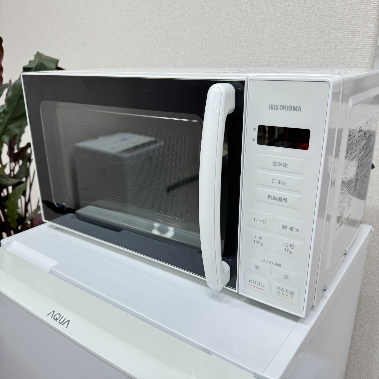 取り置きOK プロによる洗浄|除菌済み