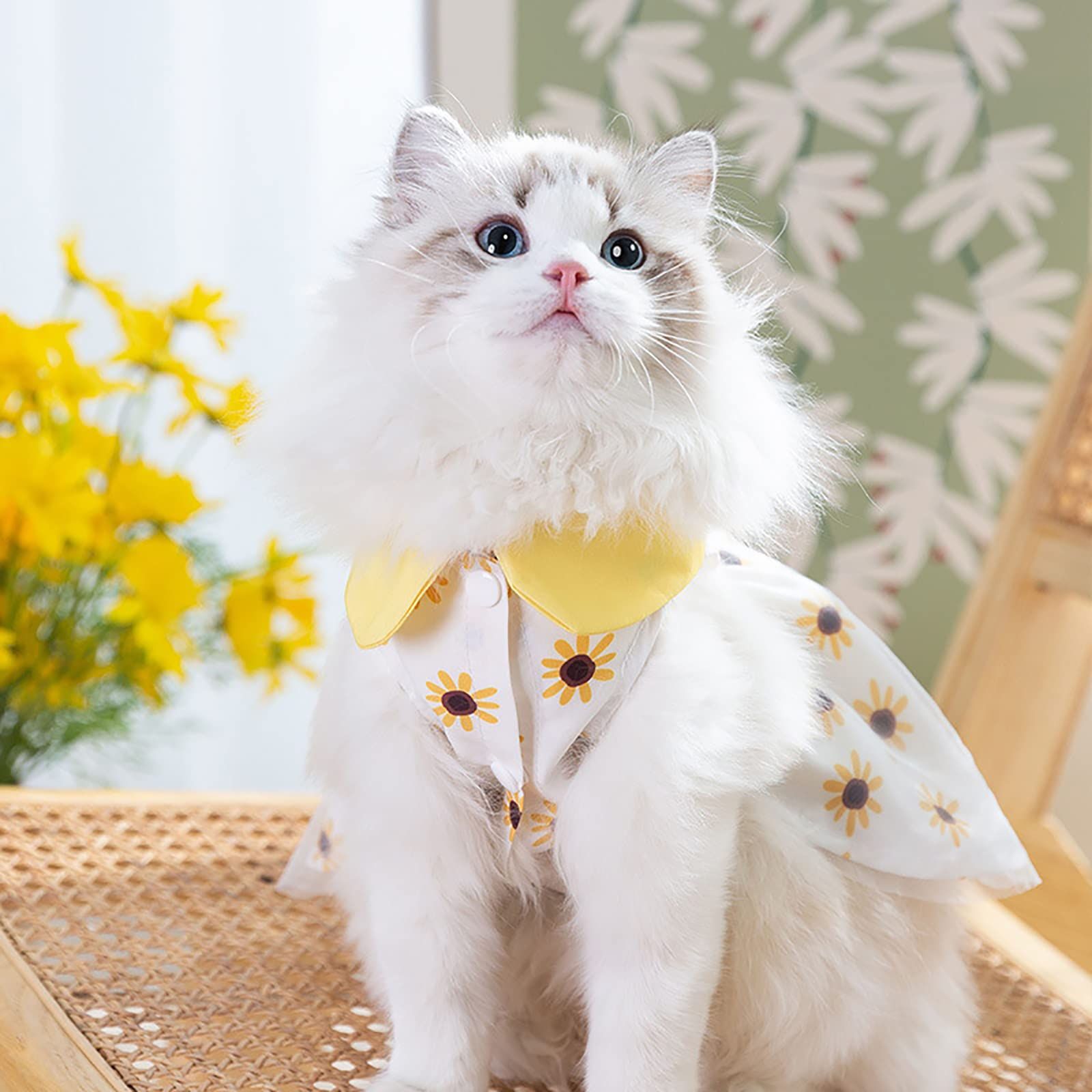 クレア様　犬服　猫服　ハンドメイド　ワンピース　わんちゃん リリー様専用犬服 猫服 ハンドメイド ワンピース わんちゃん