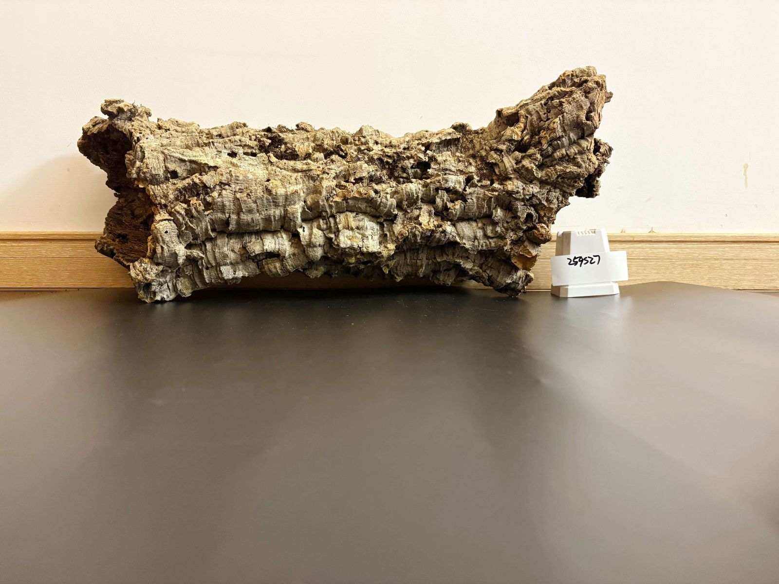 259S27 ポルトガル産