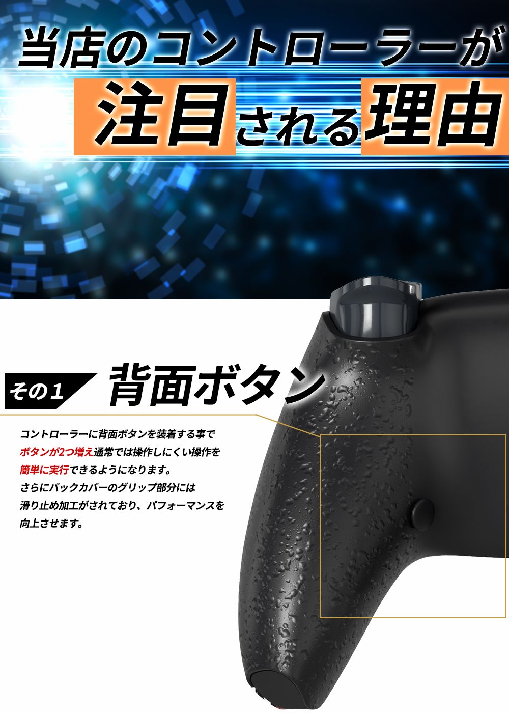 PS5 カスタムコントローラー FUUJINモデル ノーマル勢仕様