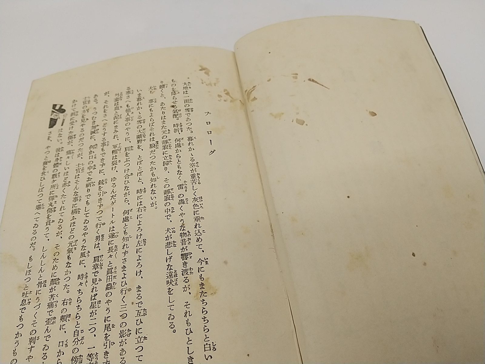 初版・1932年発行】新作探偵小説全集7 獣人の獄 水谷隼 新潮社
