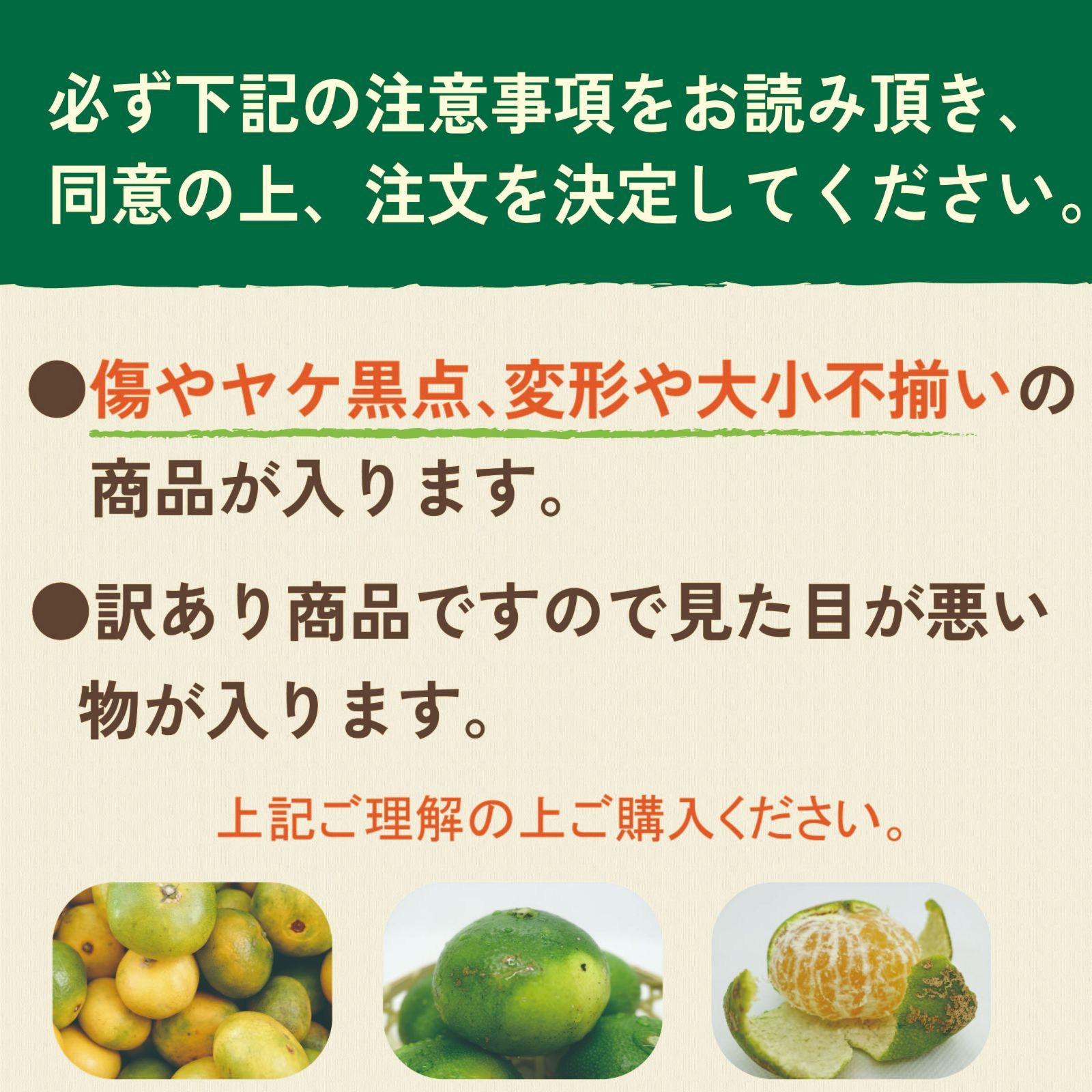 お試し【訳あり】愛媛産　愛媛みかん　２ｋｇ