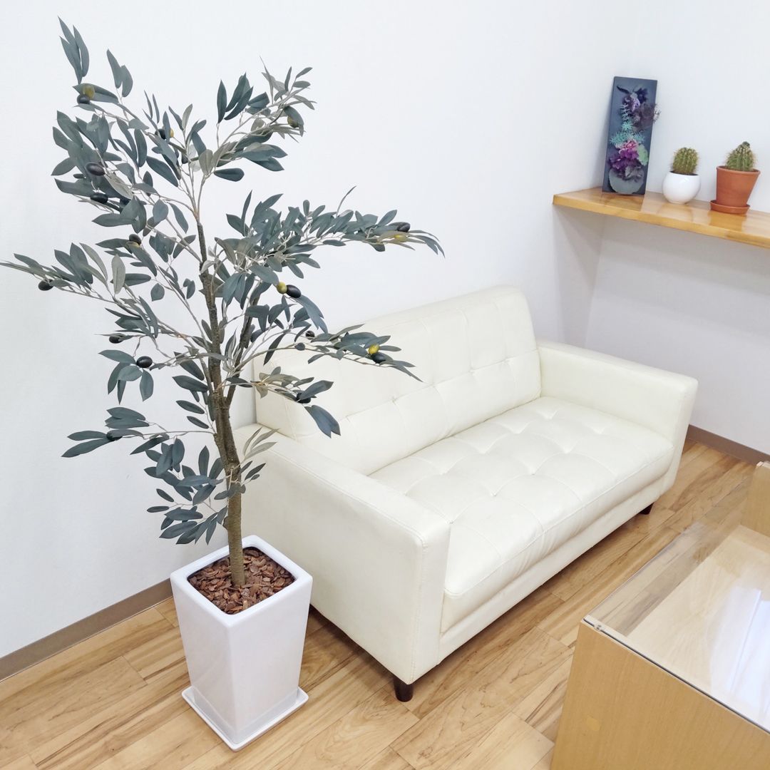 ほるぷ子供図書館 こりすコース44冊手引き書付 そらいろのたね 絵本