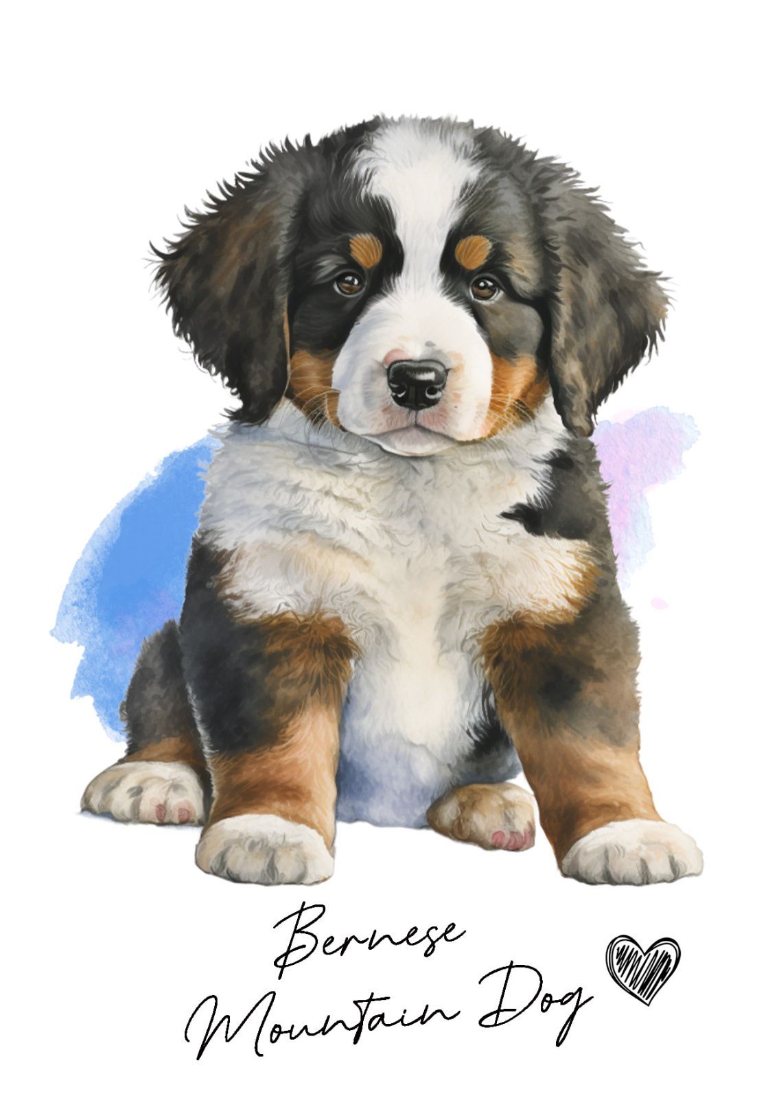 ポストカード【 Bernese Mountain Dog / バーニーズ・マウンテン