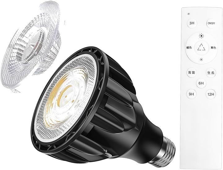 絶版？『日本社会主義の思想 』松沢弘陽著 1973年初版第1刷函