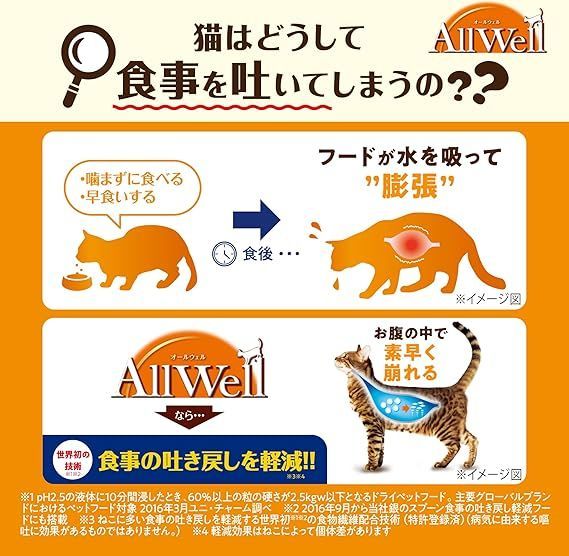 超希少 ガトヘロイ ロビンキーガル ジョンペック GATOこ