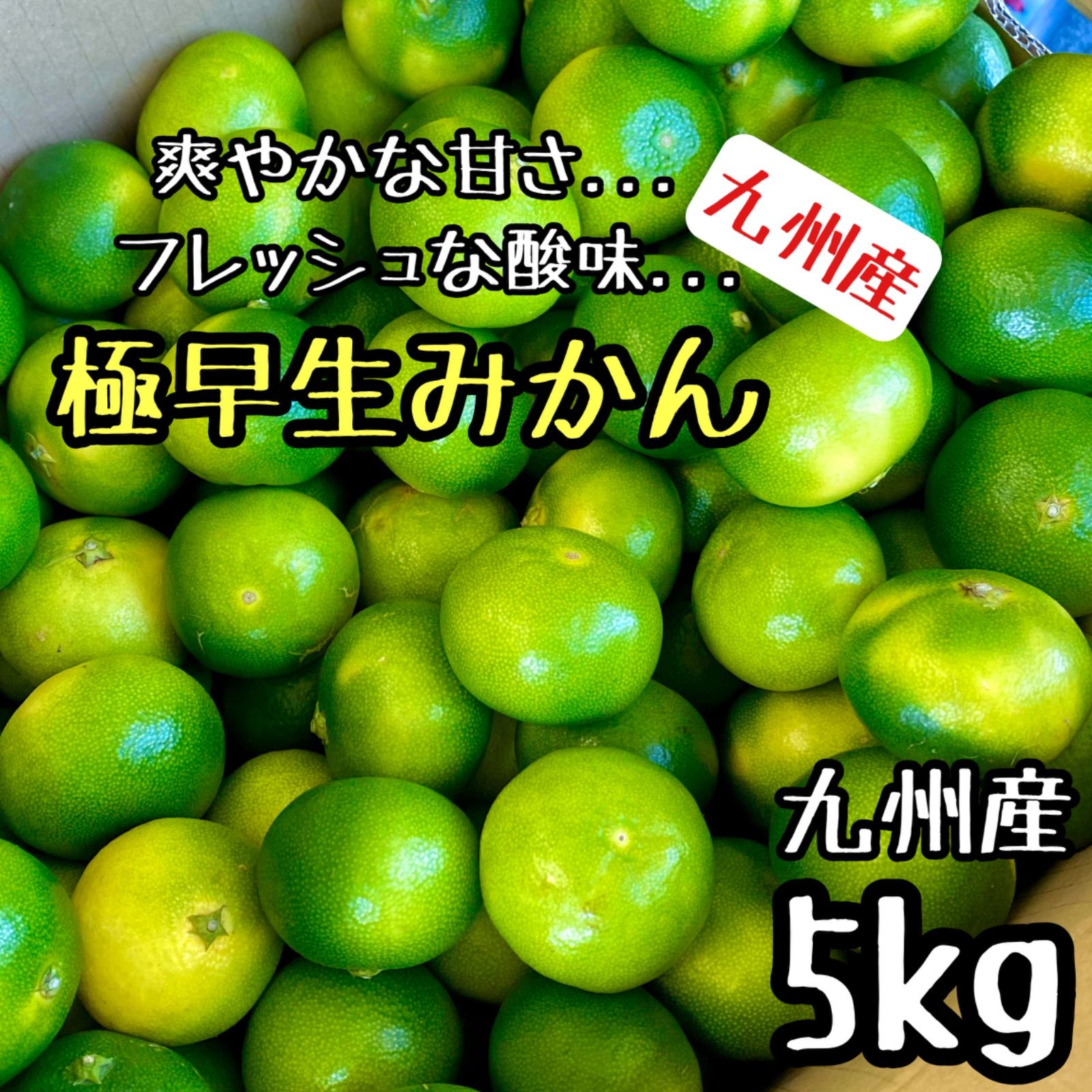 九州産◎極早生みかん 5kg 家庭用 甘くて美味しい◎
