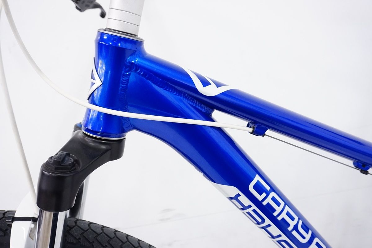 2009年モデル マウンテンバイク