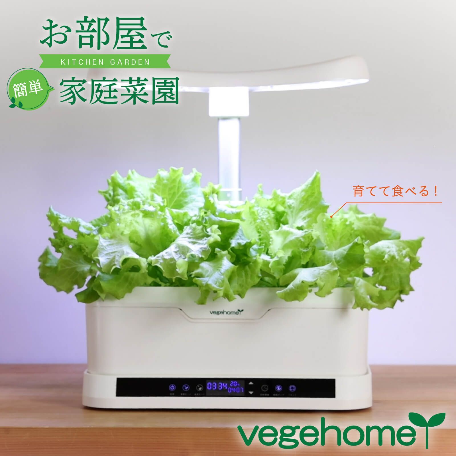 【プライムダイレクト公式ショップ】【お部屋で簡単 家庭菜園】 育てて食べる vegehome ベジホーム 基本セット 家庭栽培 庭いじり 野菜 栽培 水耕栽培 キット 小松菜 ミニトマト ラディッシュ ハーブ 大葉 ミント バジル  インテリア オーガニック