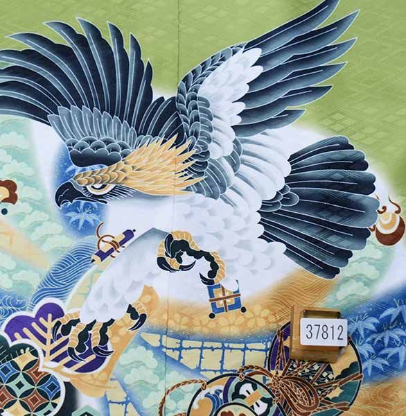 七五三 五歳 男児 羽織袴フルセット 着物 M寸 綸子地 緑地 鷹 袴変更