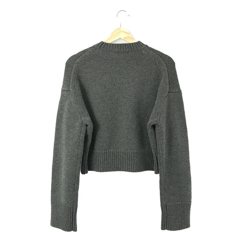 【美品】  LOHEN / ローヘン | 2022AW | ウールカシミヤクルーネッククロップドニット | F | ブラウン | レディース 美品】 LOHEN / ローヘン | 2022AW | ウールカシミヤクルーネック