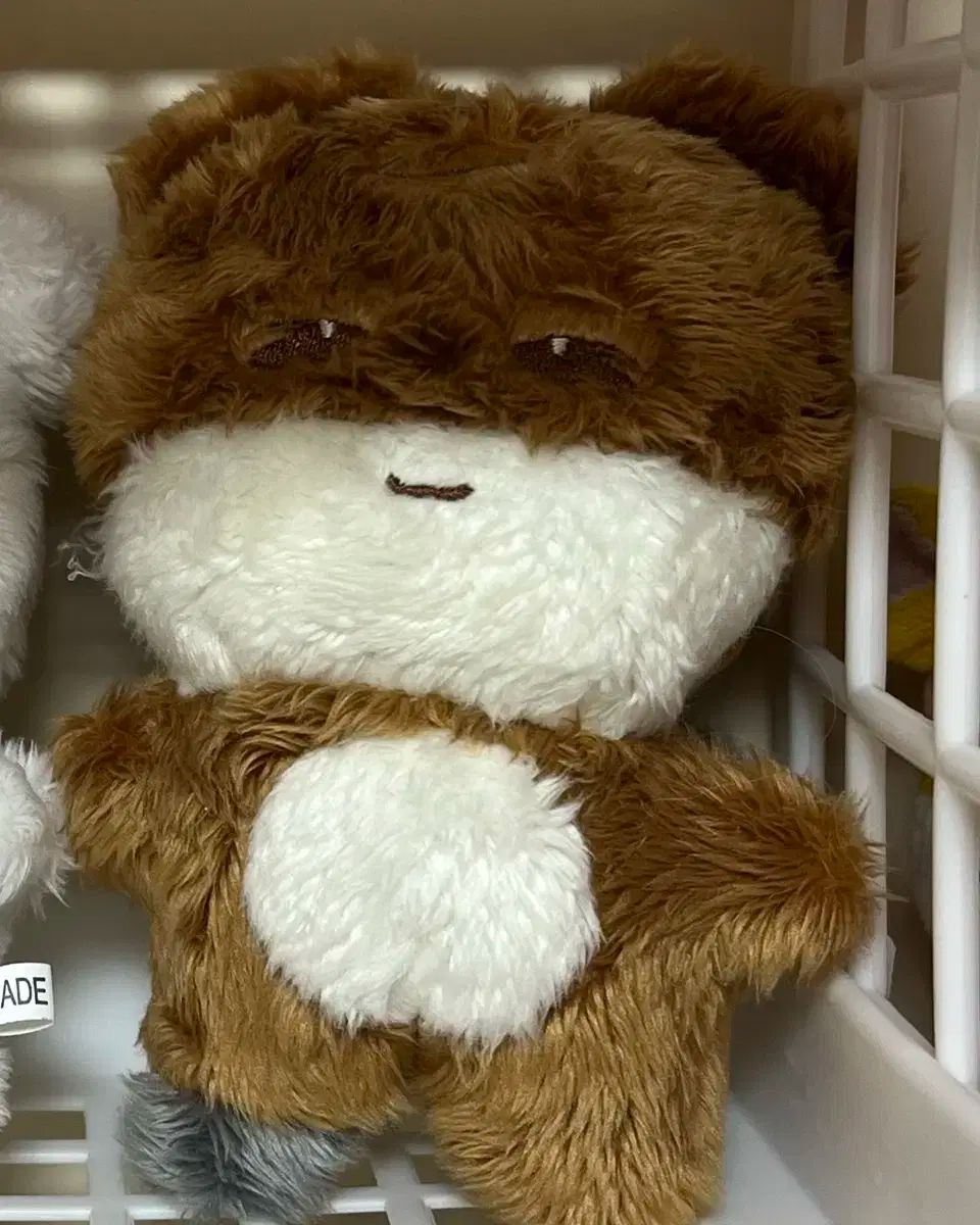 RIIZE ぬいぐるみ 10cm Shotaroショウタロウ リズコ